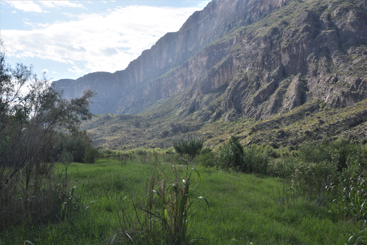 Santa Elena Canyon